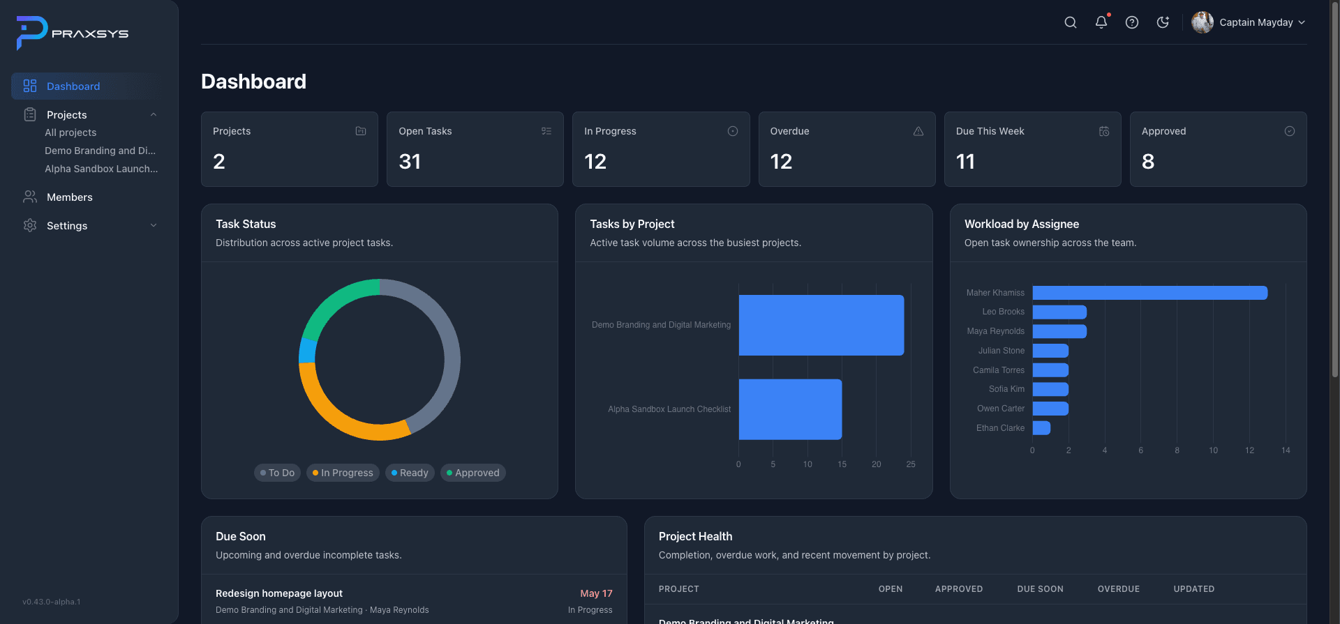 Praxsys dashboard surface showing project health, task status, workload, and operational visibility.